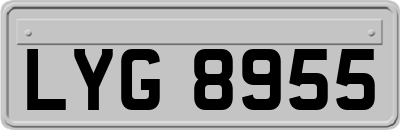 LYG8955
