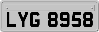 LYG8958