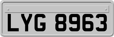 LYG8963