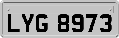 LYG8973