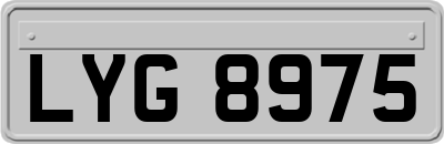 LYG8975