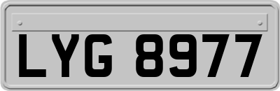 LYG8977