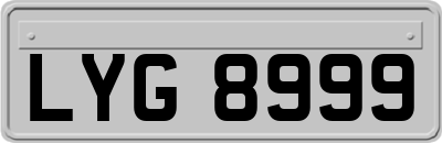 LYG8999