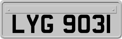 LYG9031