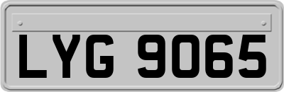 LYG9065