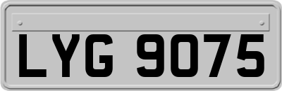 LYG9075