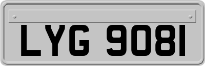 LYG9081