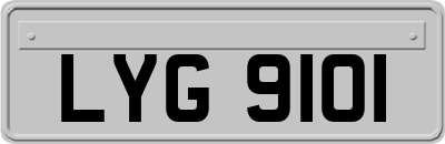 LYG9101