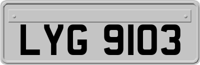 LYG9103