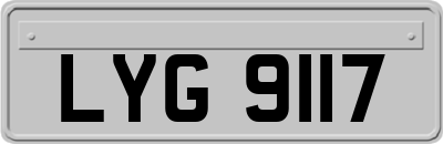 LYG9117