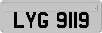 LYG9119