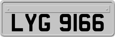 LYG9166