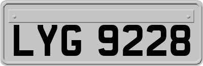 LYG9228