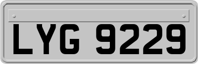 LYG9229
