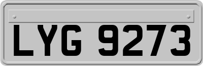 LYG9273