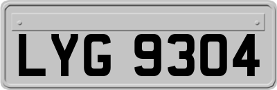LYG9304