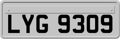 LYG9309