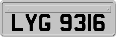 LYG9316