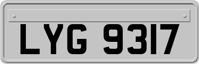 LYG9317