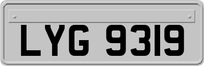 LYG9319