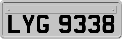 LYG9338