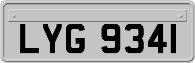 LYG9341