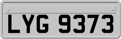 LYG9373