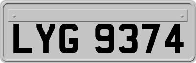 LYG9374