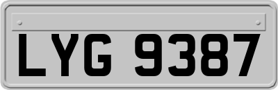 LYG9387