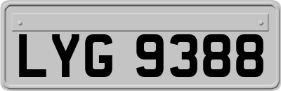 LYG9388