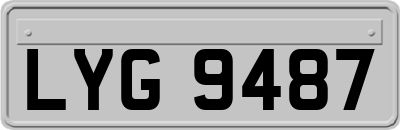 LYG9487