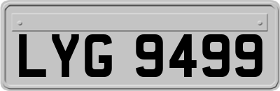 LYG9499
