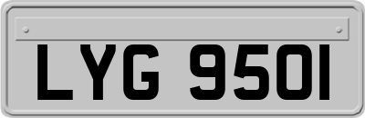 LYG9501