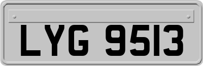 LYG9513