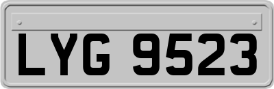 LYG9523
