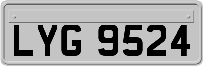 LYG9524