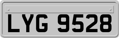 LYG9528