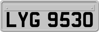 LYG9530