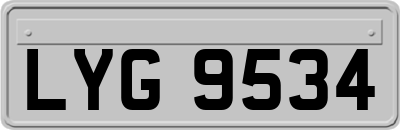LYG9534