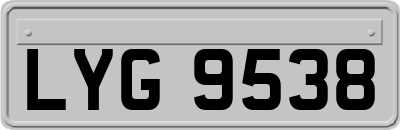 LYG9538