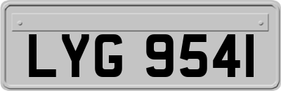 LYG9541