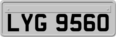 LYG9560