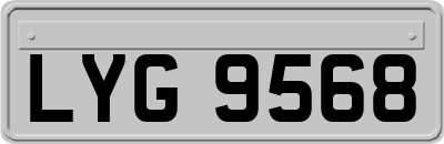 LYG9568