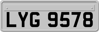 LYG9578