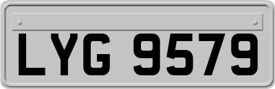 LYG9579