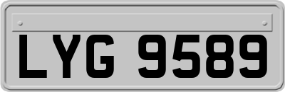LYG9589