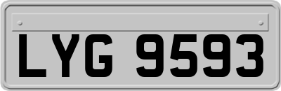LYG9593