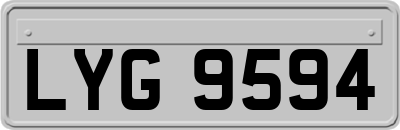 LYG9594
