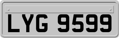 LYG9599
