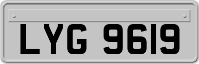 LYG9619